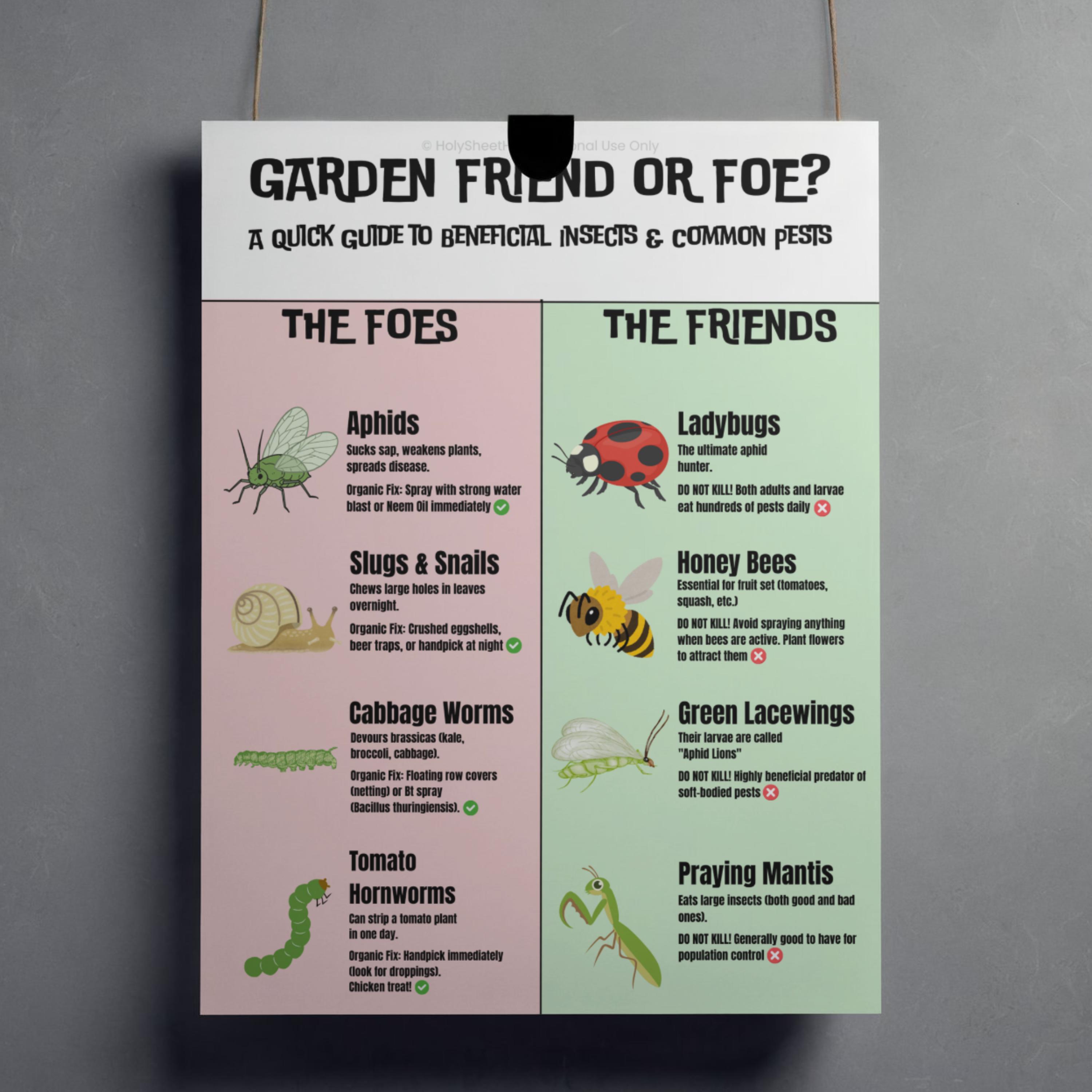 Garden Pest Identifier Chart Printable | Good Bug Vs Bad Bug Poster ...