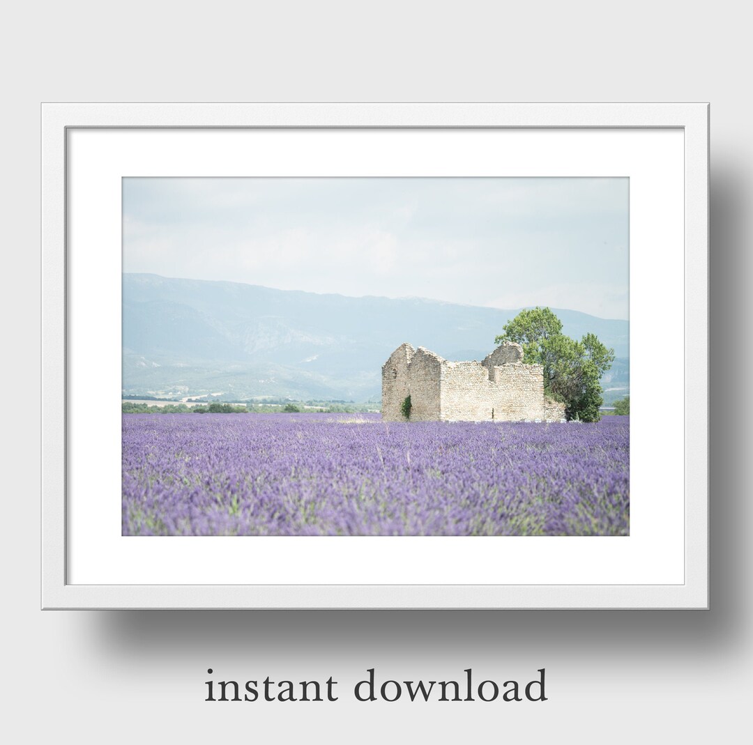 Lavender Fields Photo Printable, Instant Digital Download, Fine Art ...