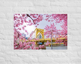 Pittsburgh Bridge omgeven door kersenbloesems Fotoafdruk | Fotografie in Pittsburgh