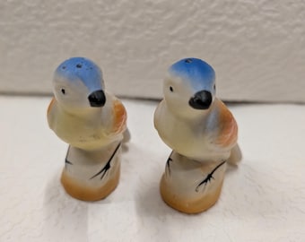 Vintage porseleinen zout- en peperstrooiers met handbeschilderde vogels, set van 2
