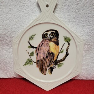 May include: A white ceramic owl-themed trivet with a handle. The trivet features a detailed illustration of an owl perched on a branch with green leaves. The owl has brown, yellow, and pink feathers. The trivet is approximately 8 inches in diameter.