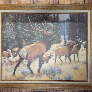 May include: A framed print depicting a herd of elk in a forest setting. The artwork features a large bull elk with impressive antlers, surrounded by other elk. The color palette includes browns, greens, and blues, creating a naturalistic scene.
