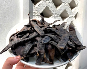 Wild Dried Soap Pod Fruit (Bo Ket) from Nghe An 1.1 lbs, Trái Bồ Kết Rừng Khô 500g