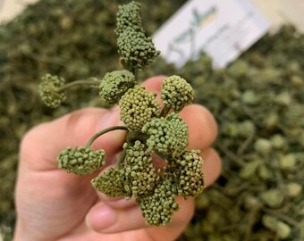 Dried Three-Lobed Notoginseng Flower Buds with Stems 1.1 lbs, Nụ Hoa Tam Thất Có Cuống 500g