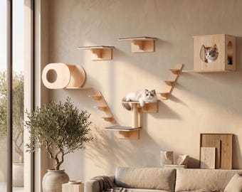 Cat Wall Shelf Set for Indoor Cats – Modern Pet Furniture