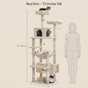 May include: A beige cat tree, 72 inches tall, with multiple platforms, a hammock, and a hideaway. Several cats are resting on the different levels. The text "Real Size - 72 inches Tall" is at the top.