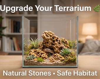 Natural Driftwood Sculpture for Aquarium & Terrarium – Unique Root Wood for Aquascaping - Zen Decor