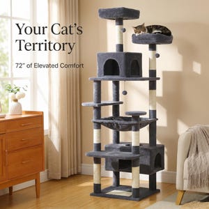 May include: A tall cat tree in grey with multiple levels, a hammock, and a hideaway. The cat tree is 183 cm tall and has a cat resting on the top platform. The text reads "Your Cat's Territory" and "72" of Elevated Comfort".