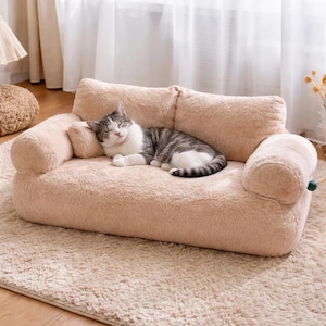 May include: A beige pet sofa with a sleeping cat. The cat is grey and white, resting on the sofa. The sofa has a rounded shape with armrests and a backrest. It is placed on a beige rug, creating a cosy space.