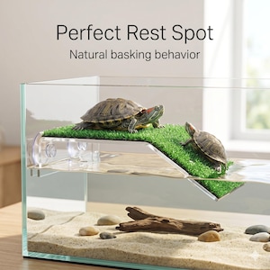 Schildkröten-Basking-Platform-Dock - Mit Saugnäpfen, rutschfester Rampe