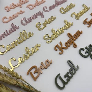 Puede incluir: Una colección de recortes de nombres personalizados en varios colores y acabados. Los nombres incluyen "Khyka", "Ceara", "Camille", "Lester", "Bria" y "Axel". Los recortes son en oro, marrón, rosa y verde.
