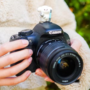 Puede incluir: Una cámara digital negra Canon EOS 550D con un objetivo de 18-55mm. En la zapata de la cámara hay una pequeña figura blanca de un chef que sostiene un pescado plateado y un rodillo azul, con un rostro sencillo de ojos cerrados.