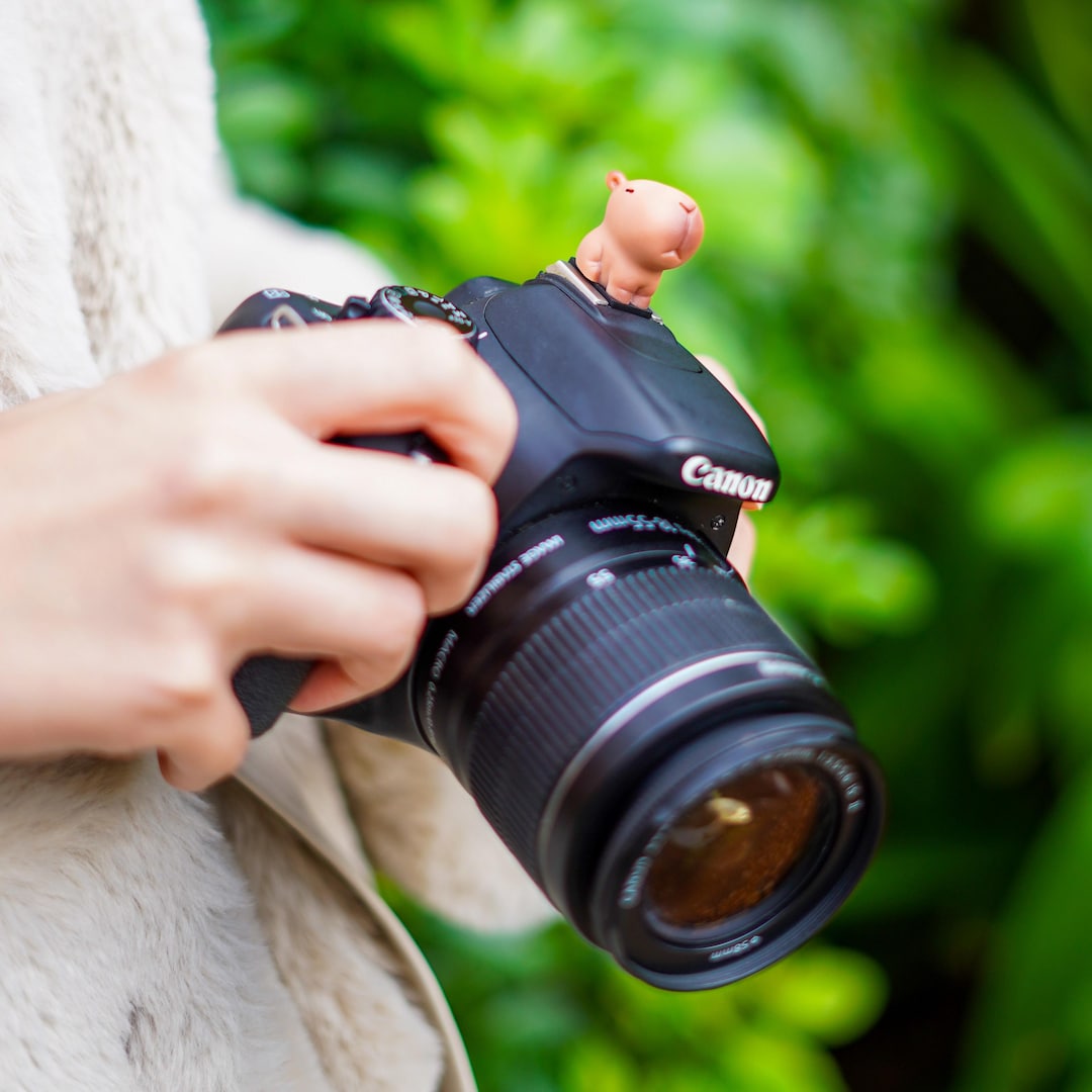 Custom Classic Capybara Hot Shoe Mount | Quirky Camera Accessory | Fun ...