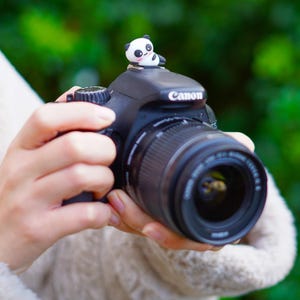 Puede incluir: Una cámara réflex digital Canon negra con una lente y una pequeña figura de panda encima. La cámara es sostenida por una persona, con un fondo verde borroso.