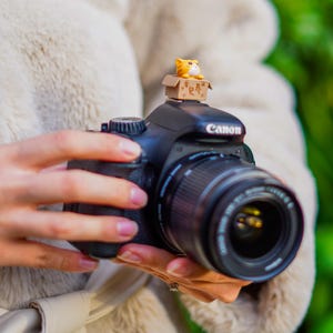 Könnte beinhalten: Eine schwarze Canon DSLR-Kamera mit Objektiv, gehalten von einer Person. Eine kleine, orange-weiß gestreifte Katzenfigur sitzt auf der Kamera in einem kleinen Pappkarton. Die Kamera ist scharf, der Hintergrund unscharf.