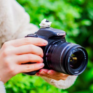 Puede incluir: Una cámara Canon DSLR negra con un objetivo zoom, sostenida por una persona. Una pequeña figura de gato blanco con un sombrero negro está encima de la cámara. El fondo es follaje verde borroso.