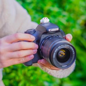 Puede incluir: Cámara réflex digital Canon EOS 550D negra con lente y un pequeño objeto decorativo blanco en la parte superior. La cámara es sostenida por una persona con un fondo verde borroso.