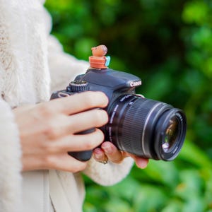 May include: A black Canon DSLR camera with a zoom lens, held by a person. A small, brown capybara figurine sits on top of the camera. The background is blurred green foliage.