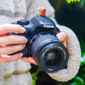 Capybara Heißbezug | Badeaccessoire für spiegellose DSLR Kameras