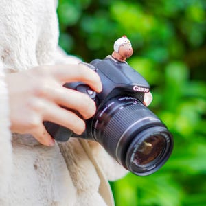 May include: A black Canon DSLR camera with a lens attached, held by a person. A small, decorative figurine of a brown animal wearing a white helmet with a red accent sits on top of the camera.