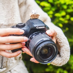 Puede incluir: Cámara Canon negra con lente de 18-55 mm. Una pequeña figura de un gato blanco en una caja de cartón se encuentra encima de la cámara. La cámara es sostenida por una persona que lleva un suéter cremoso y difuso.