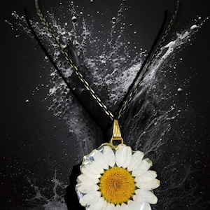 Puede incluir: Un collar con colgante de margarita con una fianza y cadena doradas. El colgante presenta una flor de margarita real encapsulada en resina transparente. La margarita tiene pétalos blancos y un centro amarillo. El fondo es negro con efectos de salpicaduras de agua.