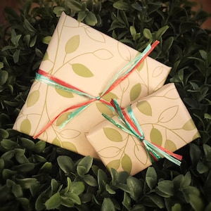 May include: Two brown gift boxes with green leaf patterns and red and blue ribbon. The boxes are sitting on a bed of green foliage.