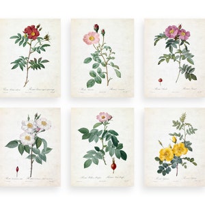 Cute Flower Digital Downloads