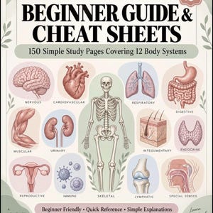 May include: Anatomy & Physiology Beginner Guide & Cheat Sheets book cover featuring 150 simple study pages covering 12 body systems. Illustrations include the brain, heart, skeleton, lungs, digestive tract, muscles, kidneys, skin, and other organs.