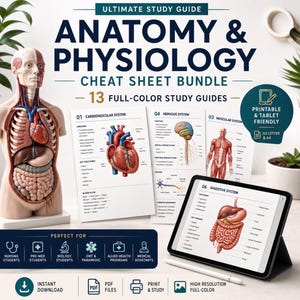 May include: An anatomy and physiology study guide bundle featuring a human torso model, printed sheets for the cardiovascular, nervous, muscular, and digestive systems, and a tablet displaying the digestive system guide with a stylus pen.