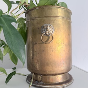 May include: A cylindrical brass planter with a weathered, golden-brown patina. The vessel features a prominent lion head ornament on the front, which holds a circular brass ring handle. A green leafy plant extends from the top of the container.