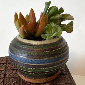 May include: A small, round ceramic planter with horizontal stripes in shades of green, blue, and brown, holding a variety of succulents. The succulents feature green and reddish-orange leaves. The planter sits on a decorative wooden surface.
