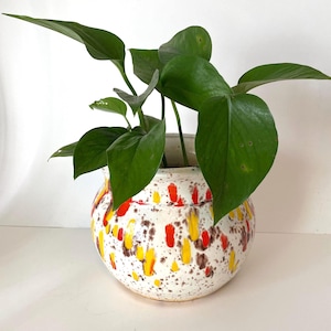 May include: A round ceramic planter with a speckled white background and colorful accents of red, yellow, and brown. The planter holds a vibrant green plant with large, glossy leaves. The pot is a decorative item for indoor plants.