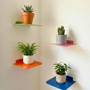 Op de afbeelding: Vier kleurrijke metalen hoekplanken, elk met een potplant. De planken zijn groen, roze, oranje en blauw. Planten zijn onder meer een vetplant, varen en cactus. De potten zijn terracotta, wit en grijs.