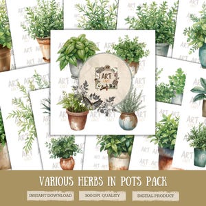 Può includere: Una collezione di illustrazioni ad acquerello raffiguranti varie erbe in vaso. Le immagini mostrano diversi tipi di erbe in vaso con fogliame verde e vasi rustici. Il testo "VARIOUS HERBS IN POTS PACK" è visualizzato in basso.