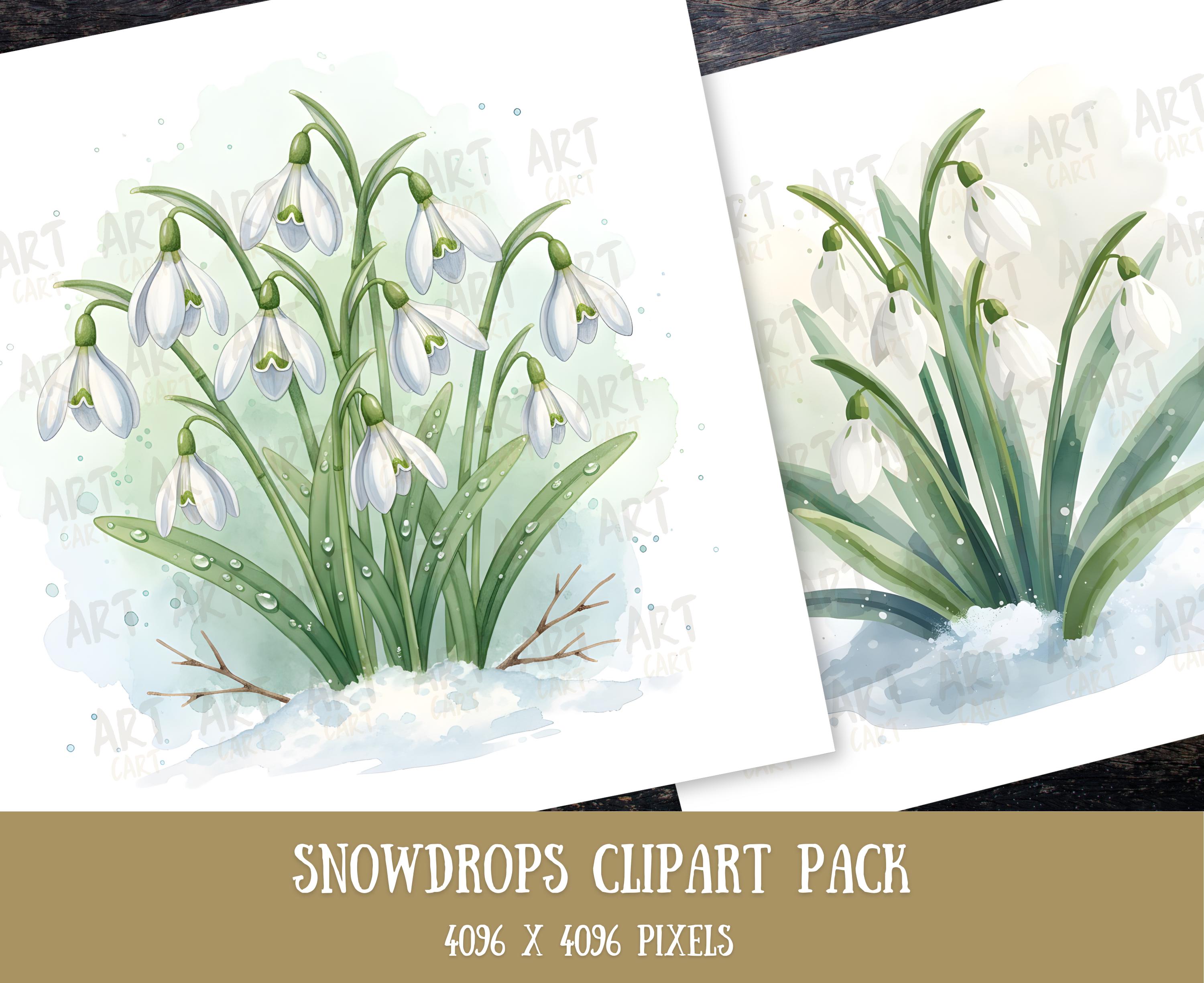10 Snowdrops Clipart, Spring Flowers, Printable Watercolor Clipart ...