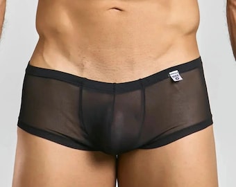 MOB Men's Sexy Sheer Hip Brief