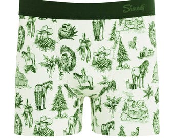 The Western Wonderland | Western Toile Boy's Boxer Briefs