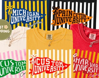 Comfort Colors® Custom University Shirt, Personalized College Tee, Custom School Spirit Shirt, College Student Gift, Back to School Shirt