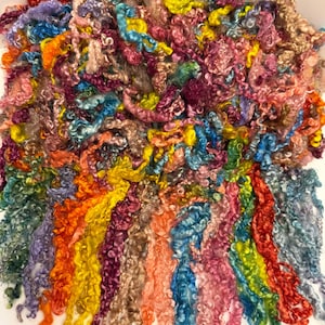 May include: A vibrant assortment of colorful, curly wool roving. The fibers display a spectrum of hues, including red, orange, yellow, green, blue, purple, and pink. The texture appears soft and fluffy, ideal for various fiber art projects.