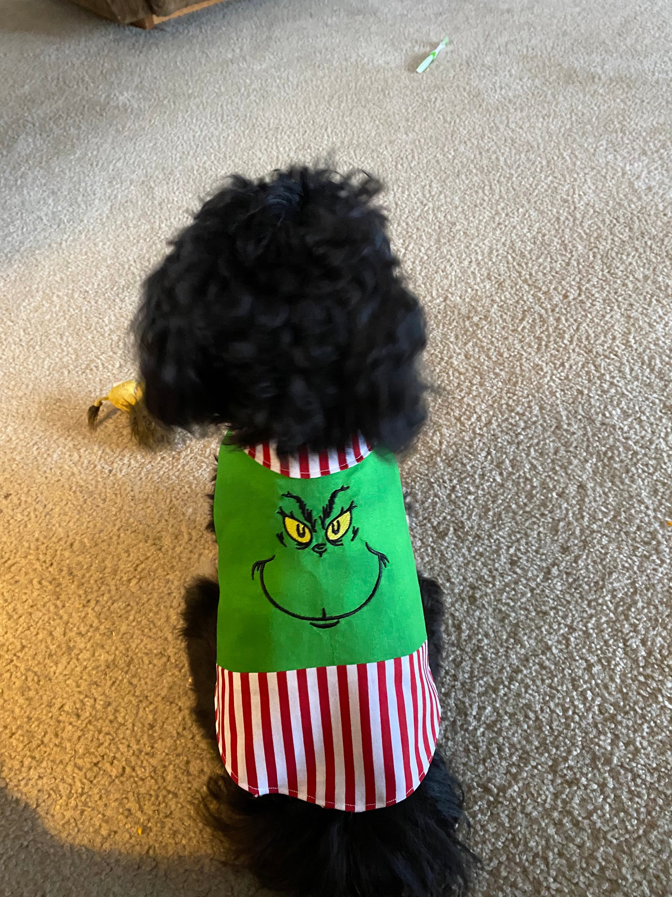 Grinch Dog Coat Etsy