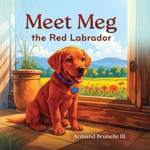 May include: An illustrated book cover featuring a red Labrador puppy with a purple collar and a blue tag. The title reads "Meet Meg the Red Labrador." The background shows a sunny field and a wooden door.