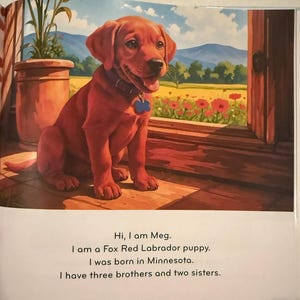 May include: A Fox Red Labrador puppy sits on a wooden porch, wearing a blue tag on its collar. The puppy is in front of a window with a view of a field of red flowers and mountains. The text reads, "Hi, I am Meg."