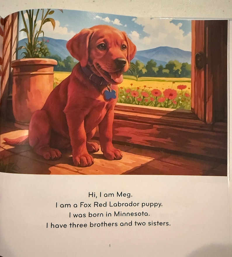 May include: A Fox Red Labrador puppy sits on a wooden porch, wearing a blue tag on its collar. The puppy is in front of a window with a view of a field of red flowers and mountains. The text reads, "Hi, I am Meg."