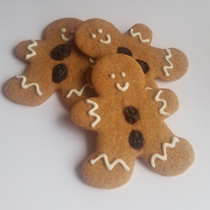 Gingerbread Men Cookies - Favors or Gift Bag - Christmas Cookies