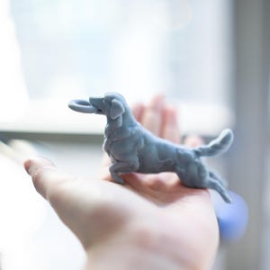 Adorno para coche: perro golden retriever atrapando un juguete de tira y afloja