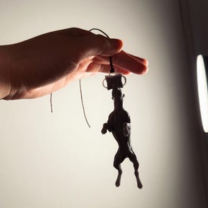 May include: A dark brown, sculpted dog figurine pendant hanging from a thin black cord. The dog is depicted in a standing, upright position with its front paws raised. The pendant is attached to the cord by a small, light-colored rectangular loop.