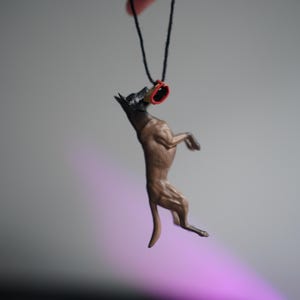 Car hanging ornament - Belgian Malinois catching a tug sleeve k9 bite toy