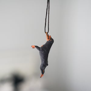 Könnte beinhalten: Anhänger mit einem stilisierten Dobermann Pinscher Hund in einer spielerischen Pose. Der Hund ist überwiegend dunkelgrau mit orangefarbenen Akzenten an Pfoten und Schnauze. Er hängt an einer schwarzen Kordel.