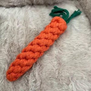 May include: An orange, braided rope dog toy in the shape of a carrot, with green rope leaves. The toy is on a soft, grey, plush surface.